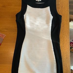 COPY - Calvin Klein Bodycon Dress